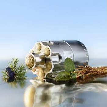 Azzaro Wanted - Eau de parfum ( 100 ml )