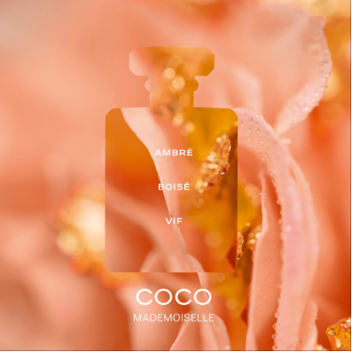 Chanel Coco Mademoiselle - Eau de parfum ( 100 ml )