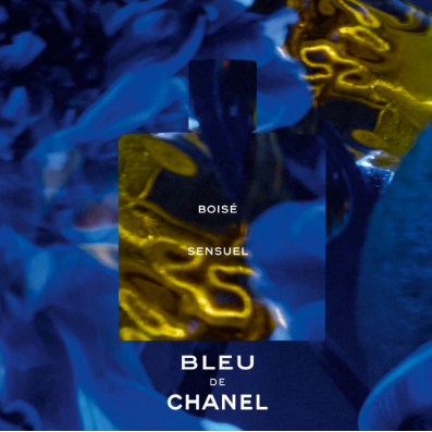 Bleu de Chanel - Eau de Parfum (100 ml)