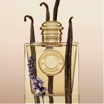 Burberry Goddess - Eau de parfum ( 100 ml )