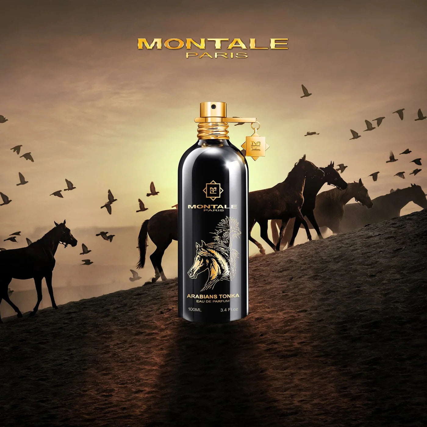 Montale Paris Arabian Tonka - Eau de Parfum ( 100 ml )