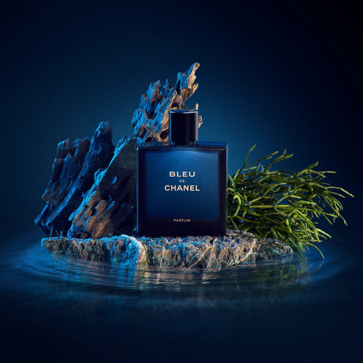 Bleu de Chanel - Parfum ( 100 ml )