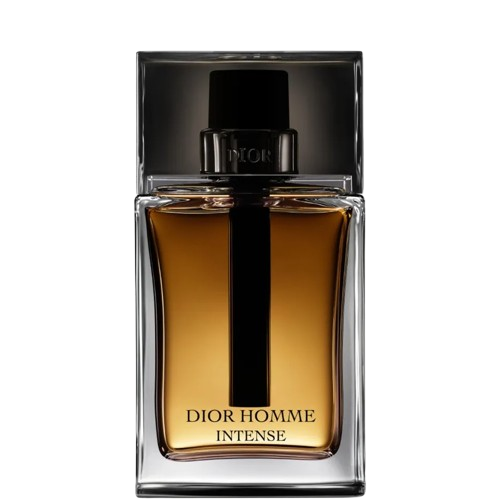 Dior Homme Intense - Eau de parfum (100 ml)