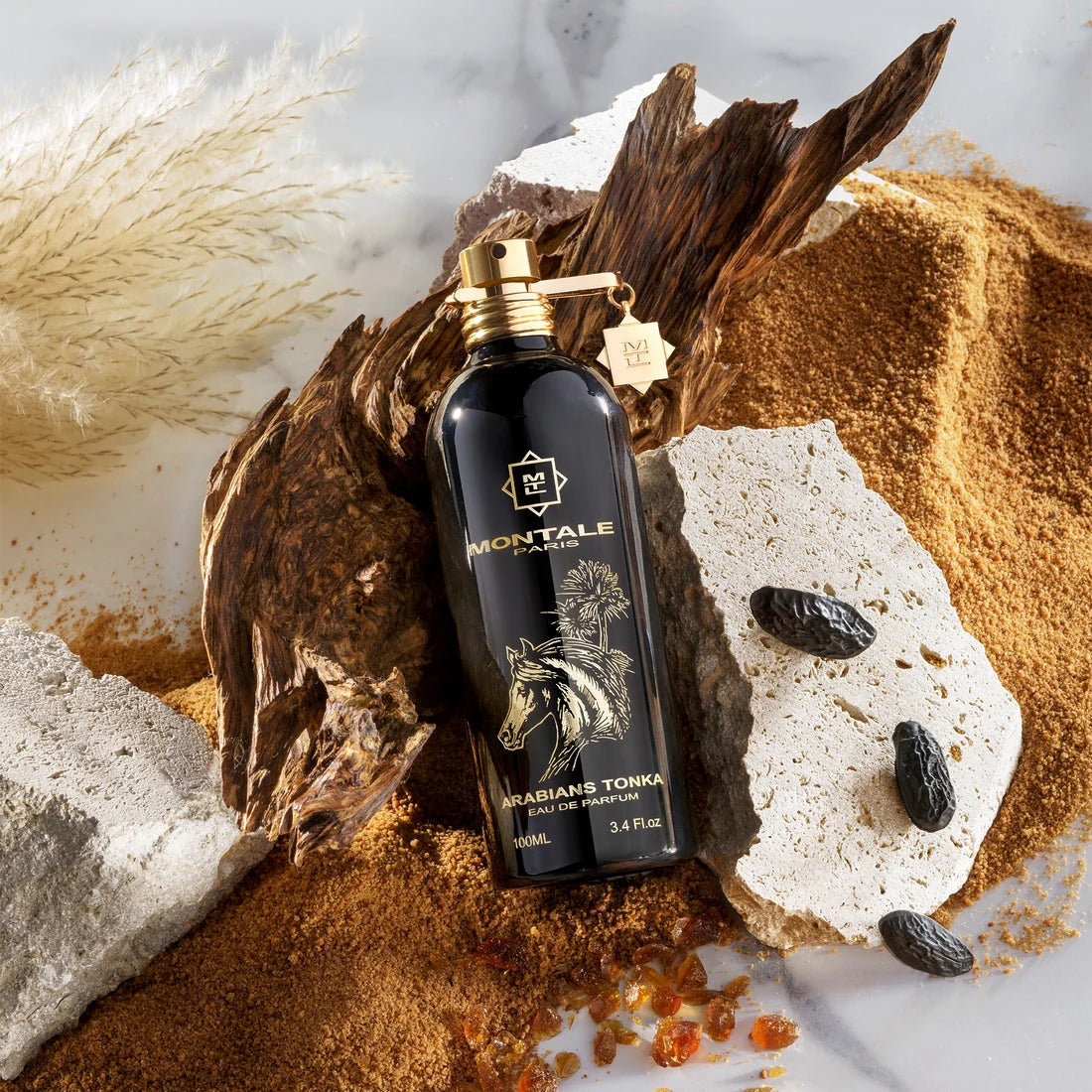 Montale Paris Arabian Tonka - Eau de Parfum ( 100 ml )