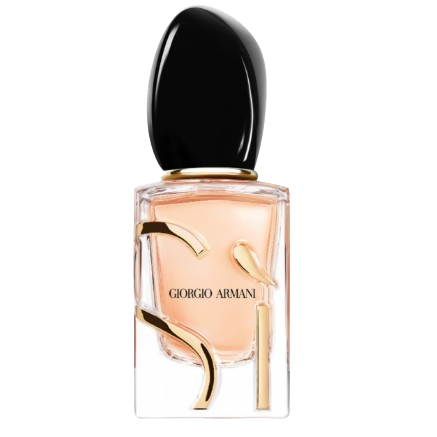 Giorgio Armani Si Intense - Eau de Parfum (100 ml)