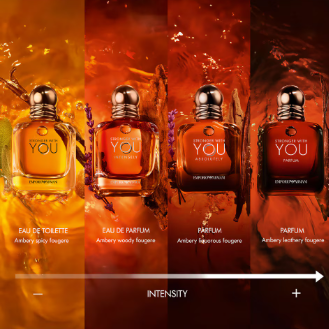 Giorgio Armani Stronger with You - perfume (100 ml)