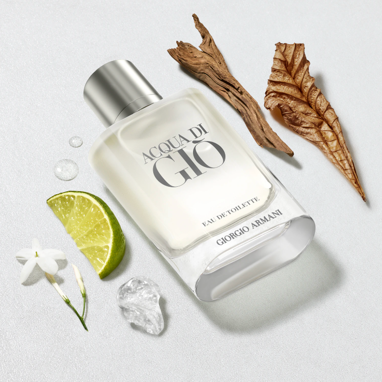 Giorgio Armani Acqua di Giò - Eau de Toilette (100 ml) 