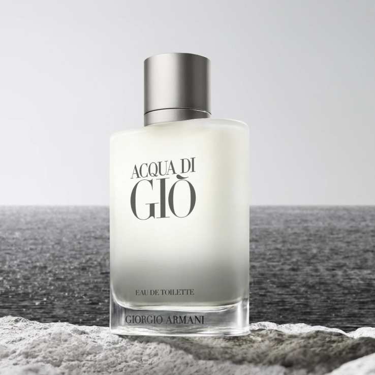 Giorgio Armani Acqua di Giò - Eau de Toilette (100 ml) 