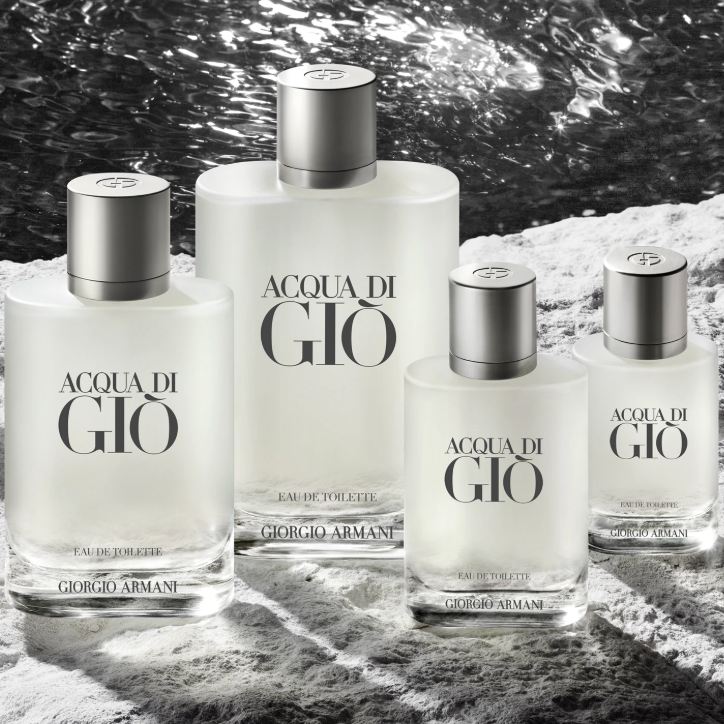 Giorgio Armani Acqua di Giò - Eau de Toilette (100 ml) 